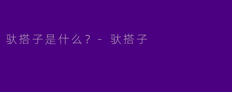 驮搭子是什么?