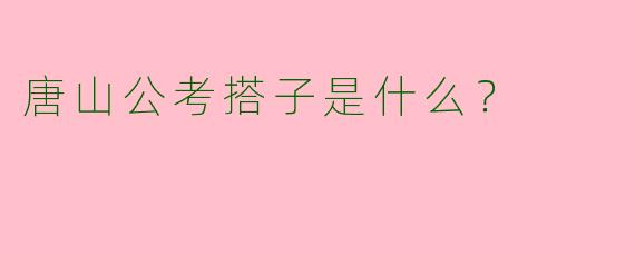 唐山公考搭子是什么？