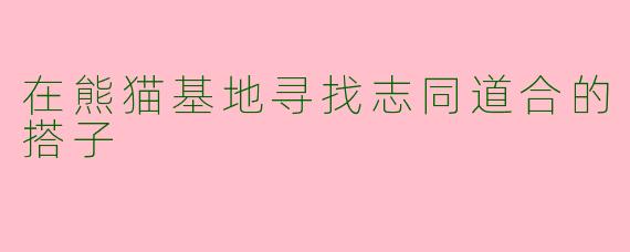 在熊猫基地寻找志同道合的搭子