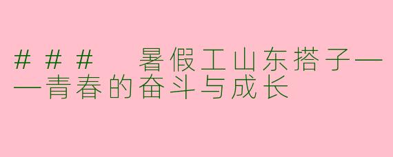 ### 暑假工山东搭子——青春的奋斗与成长