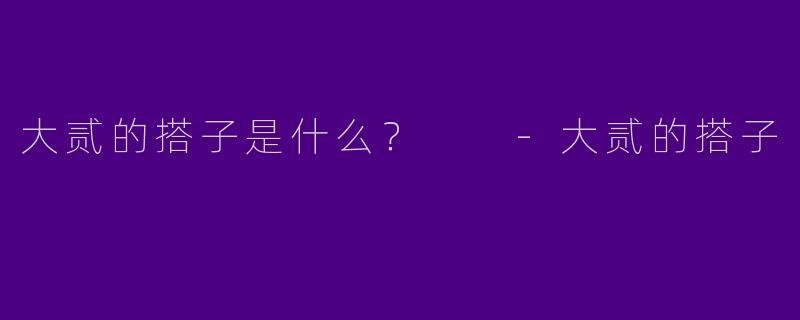 大贰的搭子是什么?