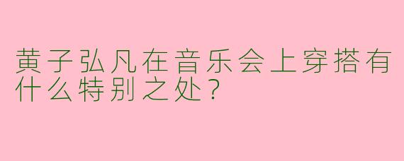黄子弘凡在音乐会上穿搭有什么特别之处？