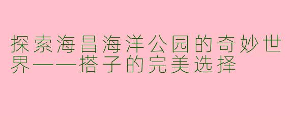 探索海昌海洋公园的奇妙世界——搭子的完美选择