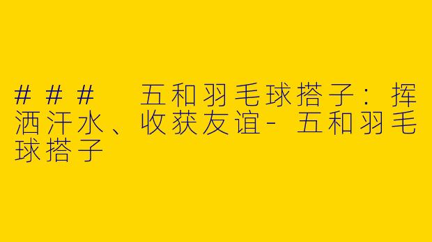 ### 五和羽毛球搭子：挥洒汗水、收获友谊-五和羽毛球搭子