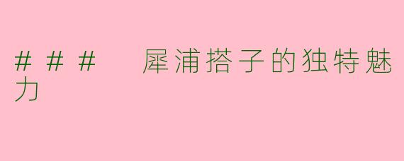 ### 犀浦搭子的独特魅力