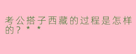 考公搭子西藏的过程是怎样的？**