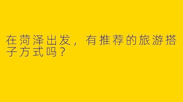 在菏泽出发，有推荐的旅游搭子方式吗？  