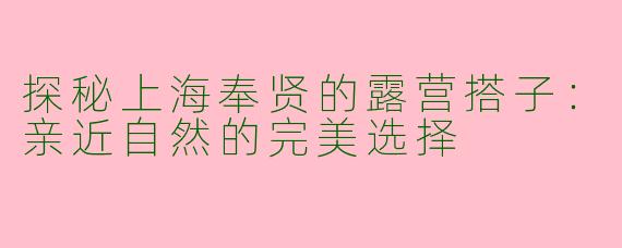 探秘上海奉贤的露营搭子：亲近自然的完美选择