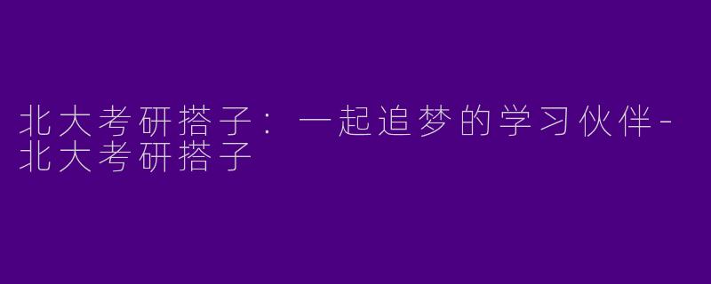 北大考研搭子：一起追梦的学习伙伴-北大考研搭子