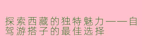 探索西藏的独特魅力——自驾游搭子的最佳选择