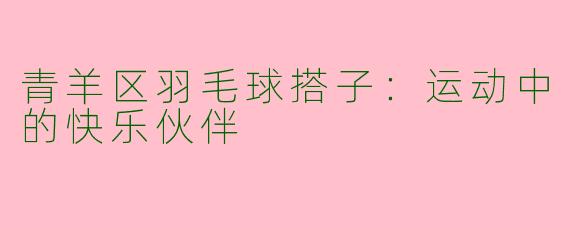 青羊区羽毛球搭子：运动中的快乐伙伴
