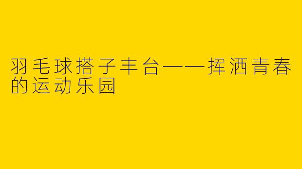 羽毛球搭子丰台——挥洒青春的运动乐园