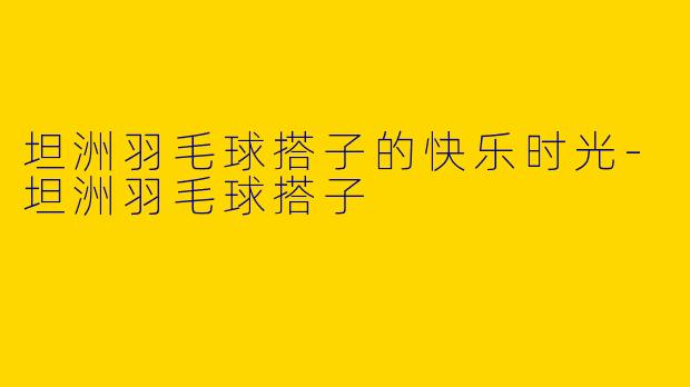 坦洲羽毛球搭子的快乐时光