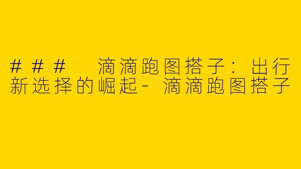 ### 滴滴跑图搭子：出行新选择的崛起-滴滴跑图搭子