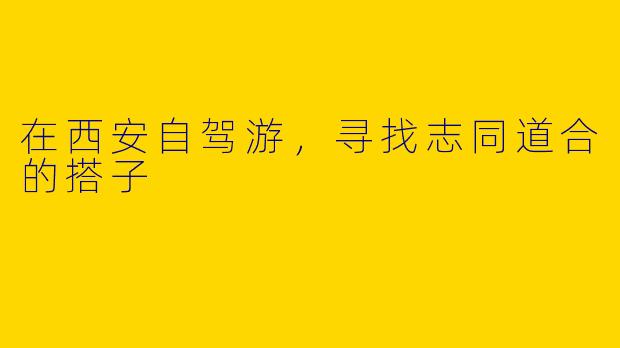 在西安自驾游，寻找志同道合的搭子