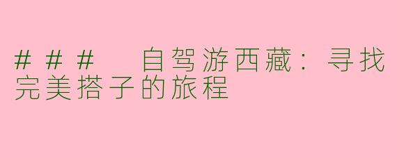 ### 自驾游西藏：寻找完美搭子的旅程