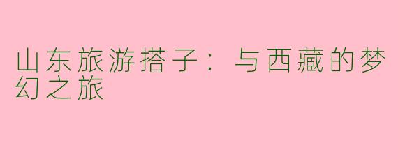 山东旅游搭子：与西藏的梦幻之旅