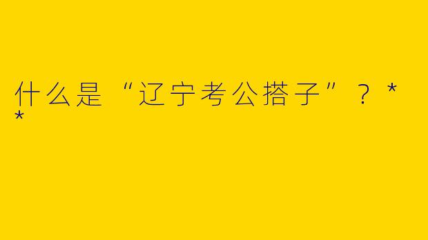 什么是“辽宁考公搭子”?**