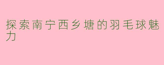探索南宁西乡塘的羽毛球魅力