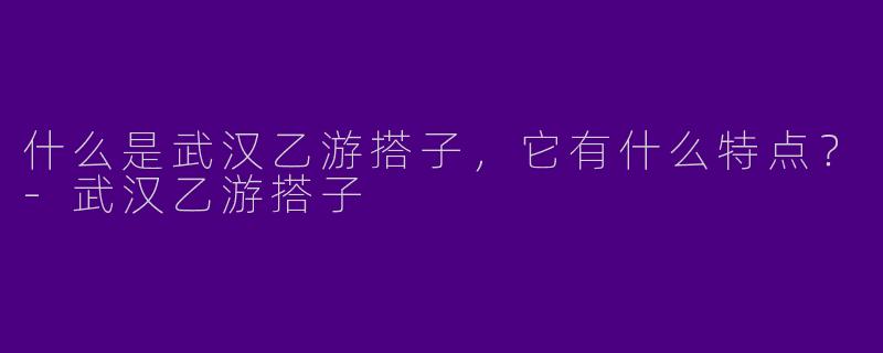 什么是武汉乙游搭子，它有什么特点？