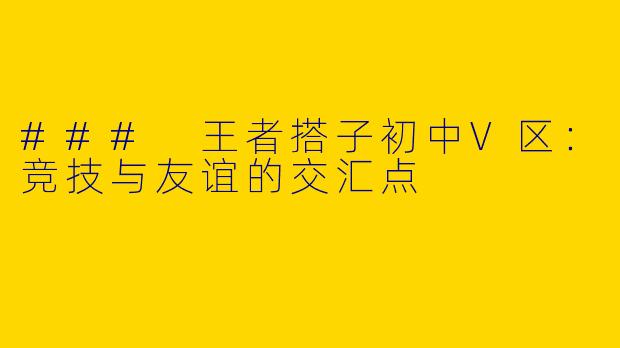 ### 王者搭子初中V区：竞技与友谊的交汇点