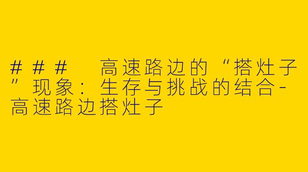 ### 高速路边的“搭灶子”现象：生存与挑战的结合-高速路边搭灶子