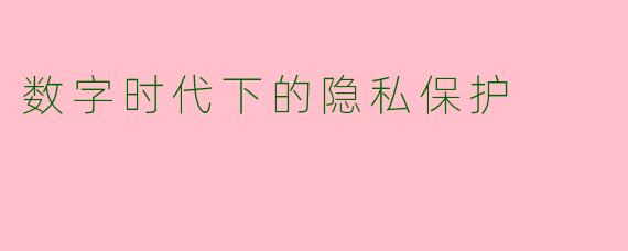 数字时代下的隐私保护
