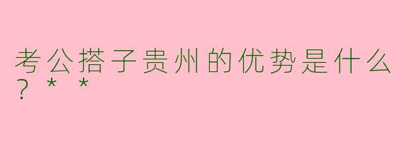 考公搭子贵州的优势是什么?**