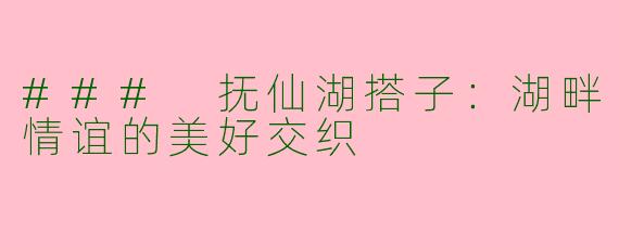 ### 抚仙湖搭子：湖畔情谊的美好交织
