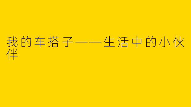 我的车搭子——生活中的小伙伴