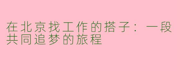 在北京找工作的搭子：一段共同追梦的旅程