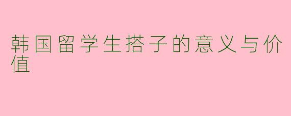 韩国留学生搭子的意义与价值