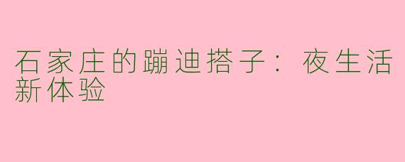石家庄的蹦迪搭子:夜生活新体验