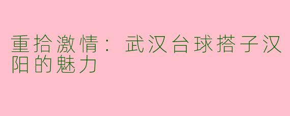 重拾激情：武汉台球搭子汉阳的魅力