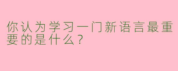 你认为学习一门新语言最重要的是什么？  
