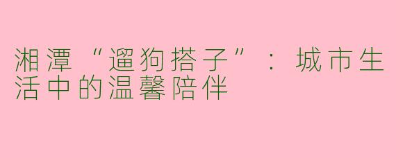 湘潭“遛狗搭子”：城市生活中的温馨陪伴