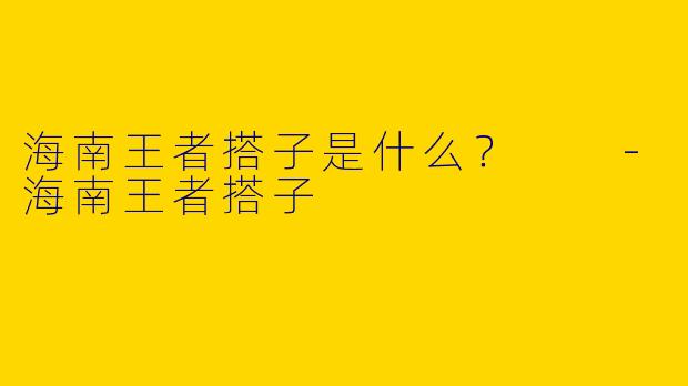 海南王者搭子是什么?