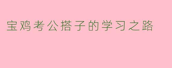 宝鸡考公搭子的学习之路