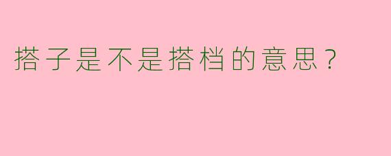 搭子是不是搭档的意思?