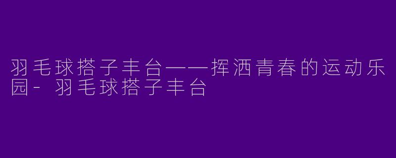 羽毛球搭子丰台——挥洒青春的运动乐园-羽毛球搭子丰台