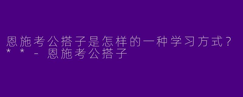 恩施考公搭子是怎样的一种学习方式?**