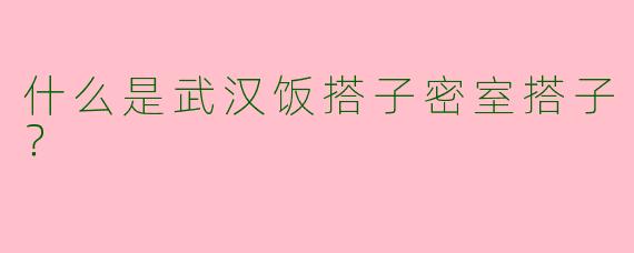 什么是武汉饭搭子密室搭子？