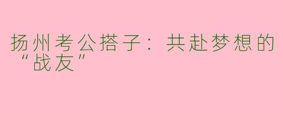 扬州考公搭子：共赴梦想的“战友”