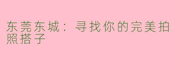 东莞东城:寻找你的完美拍照搭子