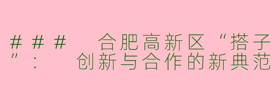 ### 合肥高新区“搭子”: 创新与合作的新典范