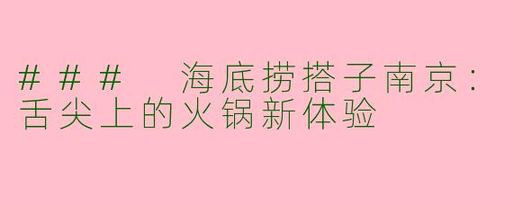 ### 海底捞搭子南京：舌尖上的火锅新体验