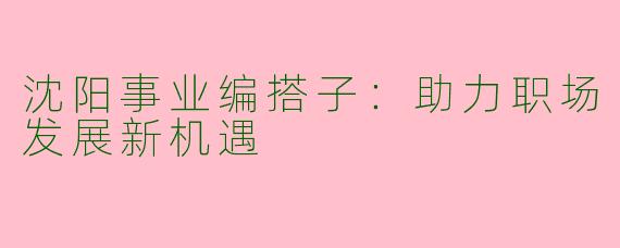 沈阳事业编搭子：助力职场发展新机遇