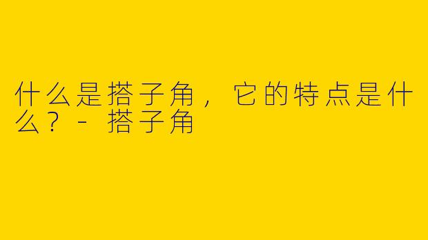 什么是搭子角，它的特点是什么？