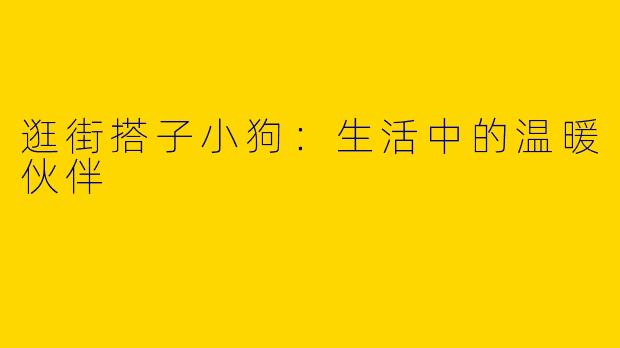 逛街搭子小狗：生活中的温暖伙伴