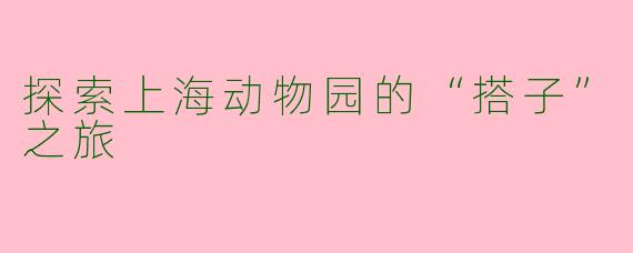 探索上海动物园的“搭子”之旅